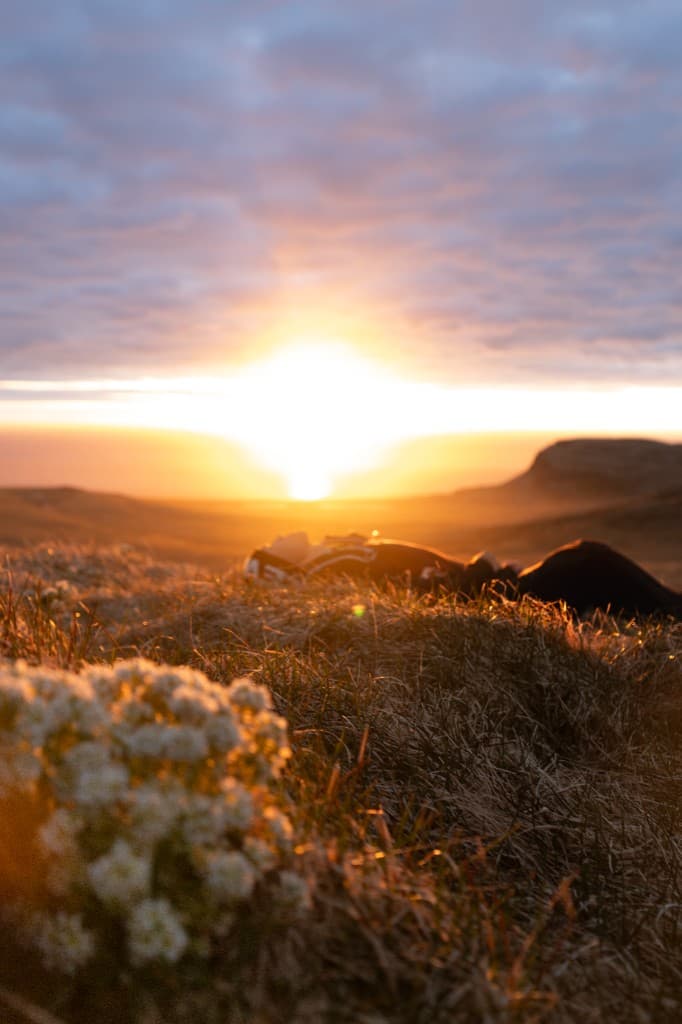 Person resting on a grassy hill at golden hour as the sun sets on the horizon